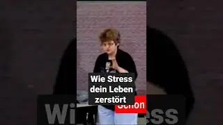 Wie Stress dein Leben zerst&ouml;rt | Vera F Birkenbihl zu Erfolg & Psychologie im Business #birkenbihl