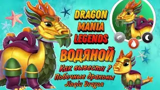 #113 💧ДРАКОН ВОДЯНОЙ🩸 - Как вывести, побочные драконы, Легенды Дракономании Jinqiu Dragon