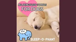 Womb Sounds for Dogs (Heartbeats for Puppies) , Pt. 01