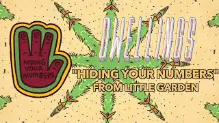 Hiding Your Numbers - DWELLINGS