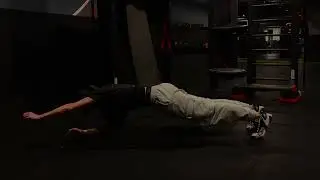 Single Arm Plank Hold - Exercise Library