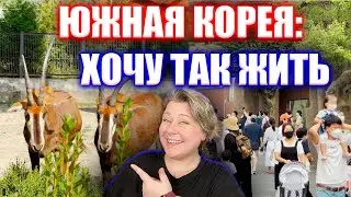 СЕКРЕТ корейского отдыха | Зоопарк в Южной Корее | Корея влог
