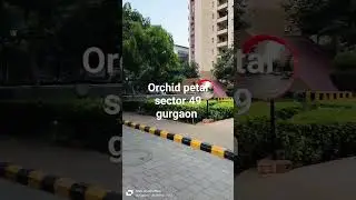#orchid petal#sector49#gurgaon #society #tour #youtubeshorts #