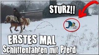Erstes Mal Schlittenfahren mit Pferd  + STURZ