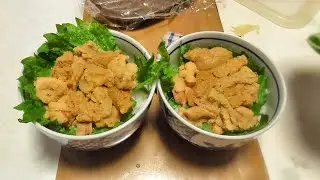 【ウニ漁】採れたて生うに丼頂きます