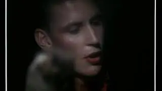 Sunnyboys - Love In A Box (Official Music Video)