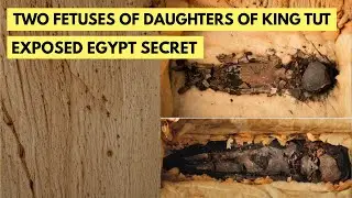 DNA From Tutankhamun's Mummified Fetuses Just Exposed a Royal Secret Egypt Tried to Bury