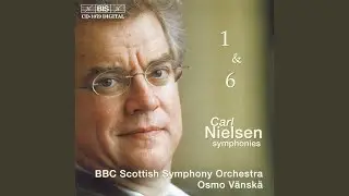 Symphony No. 1 in G Minor, Op. 7, FS 16, CNW 25: IV. Finale. Allegro con fuoco