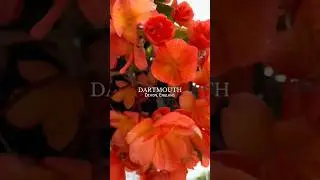 Dartmouth🫶🏻⛵️🚤⛴️🌺 #dartmouth #devon #visitdevon #visitengland #englishtown #england