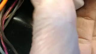 1990 Pontiac Firebird Rear Hatch Release and Relay Location