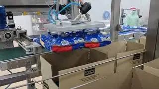Robot case packer for Pouch 1 kg