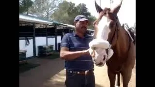 Charlebois Farm