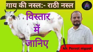 राठी नस्ल को विस्तार में जानिए/गाय की नस्ल/ parvat nigwal/ayushman online classes/Preagriculturetest