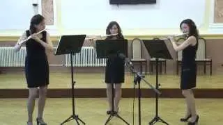 Scherer: Flute Trio No.1. II. Largo, IV. Menuet - Performed by The Merliton Flute Trio