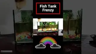 Fish tank Tank Glow-Up Time #satisfying #oldtonew #babymonster #monsterfish #oldaquarium #fish tank