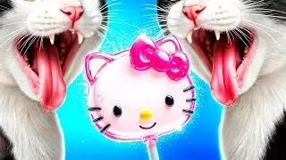 Amazing Makeover from Nerd to Hello Kitty! How to Become a Cat
