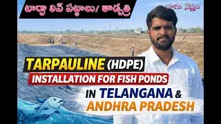 Tarpaulin Covers Installation | ఫిష్ పాండ్ టార్పాలిన్ (హెచ్‌డీపీఈ) ఇన్‌స్టాలేషన్ | Sagu Nestham