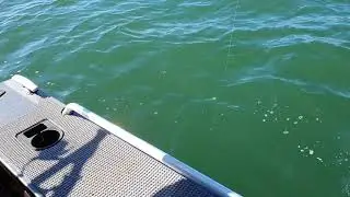 j d rods ,1-3 kilo rod test #stabicraft