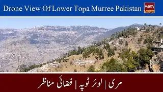 Beautiful View | Lower Topa Murree Pakistan | ABFA News | Pimeinto Grill