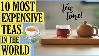 Top 10 Most Expensive Teas: Luxury Sips You Won't Believe!