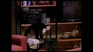 Marcel, Where Are You Going With That Disk?