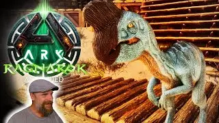ARK Ragnarok 🦴 065: Oviraptor holen & Dino-Leine aufbauen  🦴 ARK Ascended