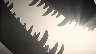 Christies Dino Sale