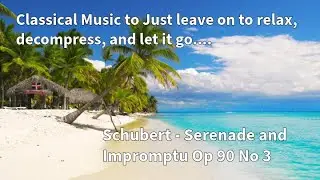 🎵🎵 [BGM] Classical Music - An Evening with Schubert - Serenade and Impromptu Op 90 No 3