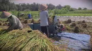 Farmer Invention: A Simple DIY Rice Thresher Machine _FarmersLife _Shorts