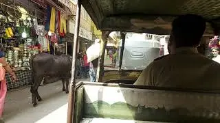 Awesome Rickshaw Ride from Ajmeer Dargah