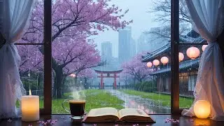 Cozy Rainy Day ☕🌸 Relaxing Rain Sounds & Falling Cherry Blossoms | Coffee & Focus Ambience