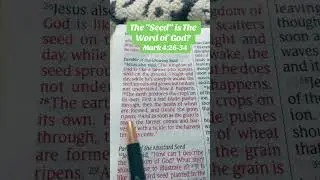 Explaining the palpable. Mark 4:26-34