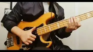 ATELIER Z M245 SLAP ( Double pluck )