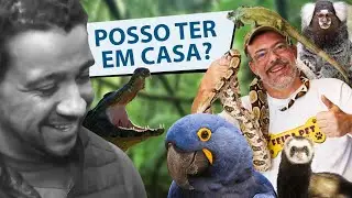 QUAIS ANIMAIS POSSO CRIAR NO BRASIL? - Ft. Sérgio Rangel | Parte 1/2