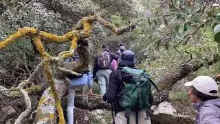 Sommet Djebel Bargou Part:1🔥⛰❤️🇹🇳💚😍