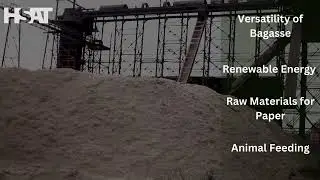 Sugarcane and Bagasse