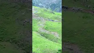 Desan Meadows Kalam Swat Valley | #shorts #pakistan