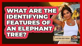 What Are The Identifying Features Of An Elephant Tree?