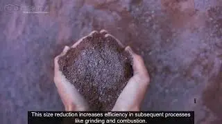 What Are the Key Applications of Hammer Crushers in Coal Processing Plants?