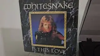 Whitesnake  - I need your love so bad - Is This Love 12