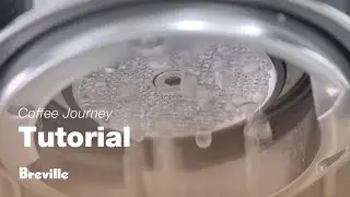 Coffee Tutorials | How to clean and maintain your home espresso machine | Breville USA