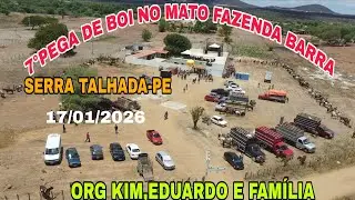 7°PEGA DE BOI NO MATO FAZENDA BARRA SERRA TALHADA-PE  ORG KIM E EDUARDO CHEGADA DOS VAQUEIRO.