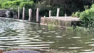 Andole Lake Sunaet view #fishing #nature #scenery #trending #viral #ytshorts #fyp 