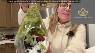 Unboxing Overview of Terrarium Kit with Live Plant #ad