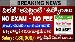 😍 గ్రామీణ అసిస్టెంట్ జాబ్స్ ,Exam లేదు | IIMR Recruitment 2025 | Latest Govt jobs telugu |Job Search