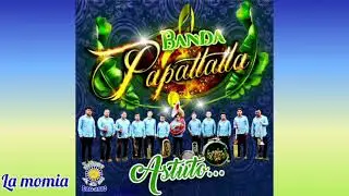Mix Sones Carnavaleros Con Banda Papatlatla