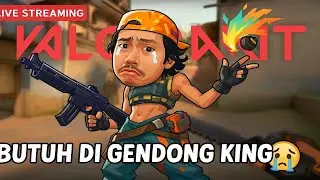 DAY 21 #livestream  // VALO GUYSS !!!🥲 #gaming #valorant