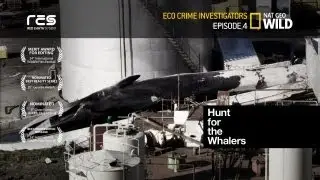 Eco Crime Investigators: Hunt for the Whalers - Trailer