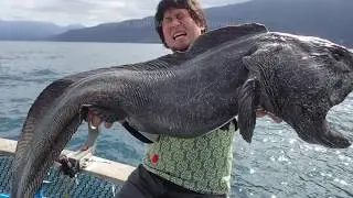 Strange Sea Creatures Discovered after Tsunami