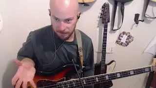 Wye Oak Fortune Bass